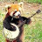 Redpanda1029