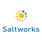 Saltworks Technologies: Industrial Water + Lithium logo