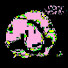 bQ4XsgIuCfc-channel-avatar-Sournale