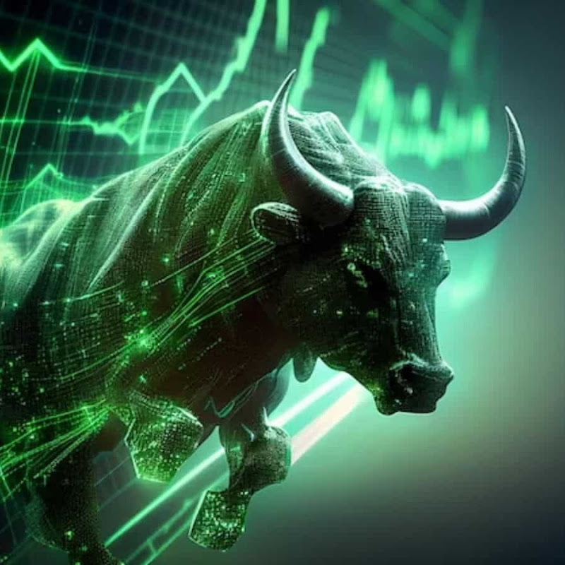 Stock Market Portfolio          