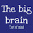 The big brain