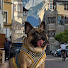 OI7ZRBIJg9w-channel-avatar-Scenic Alpine Drives
