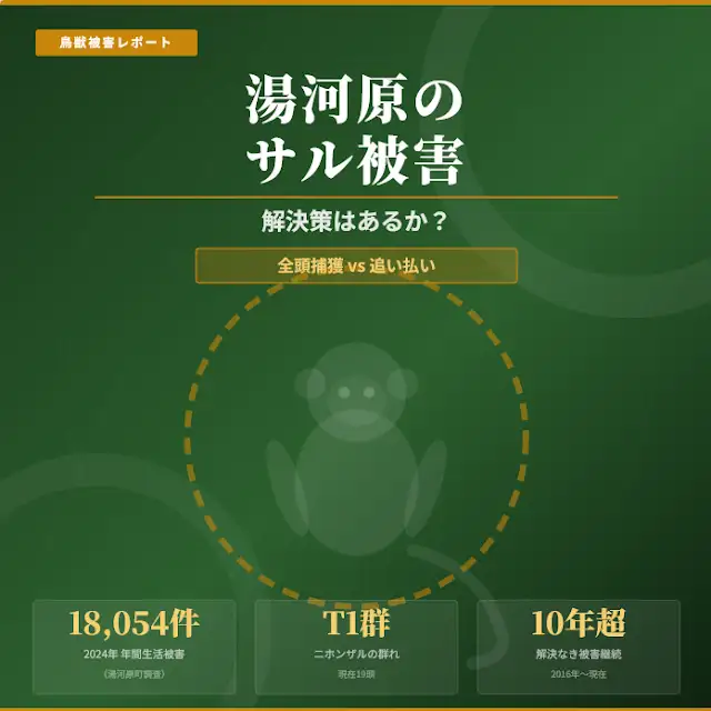 本記事のコメント💬はこちら