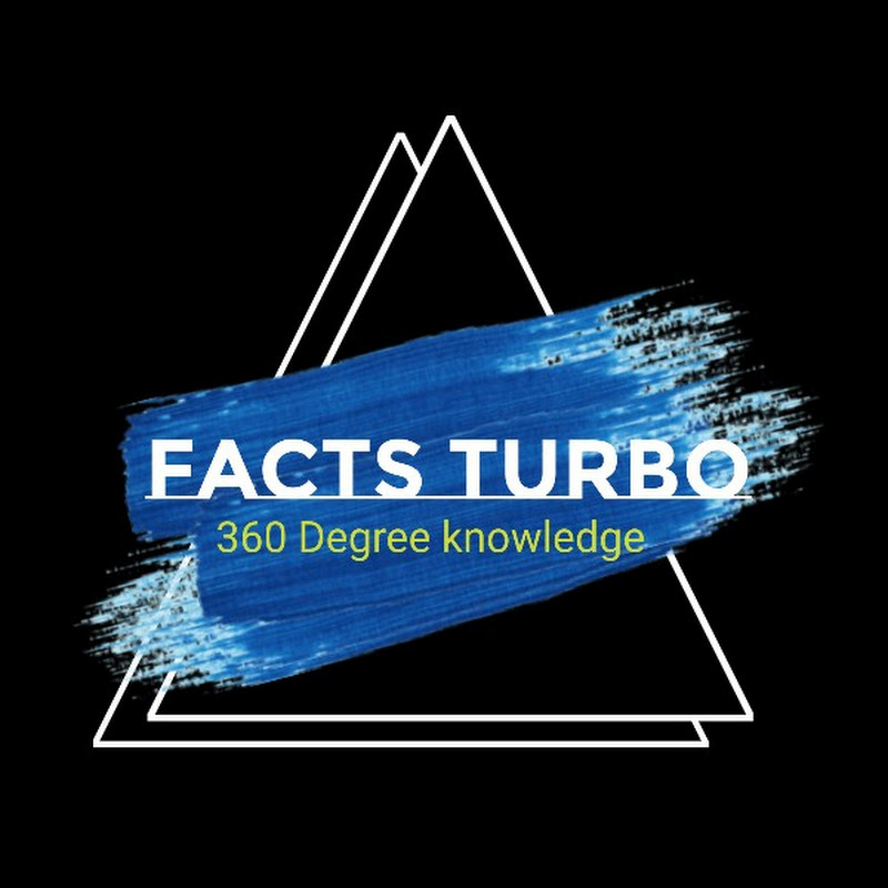 Facts Turbo 89