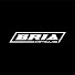 w30xnXDo4cI-channel-avatar-BRIA
