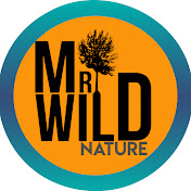 Mr Wild Nature