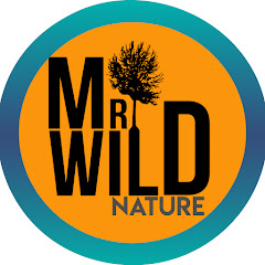 Mr Wild Nature net worth