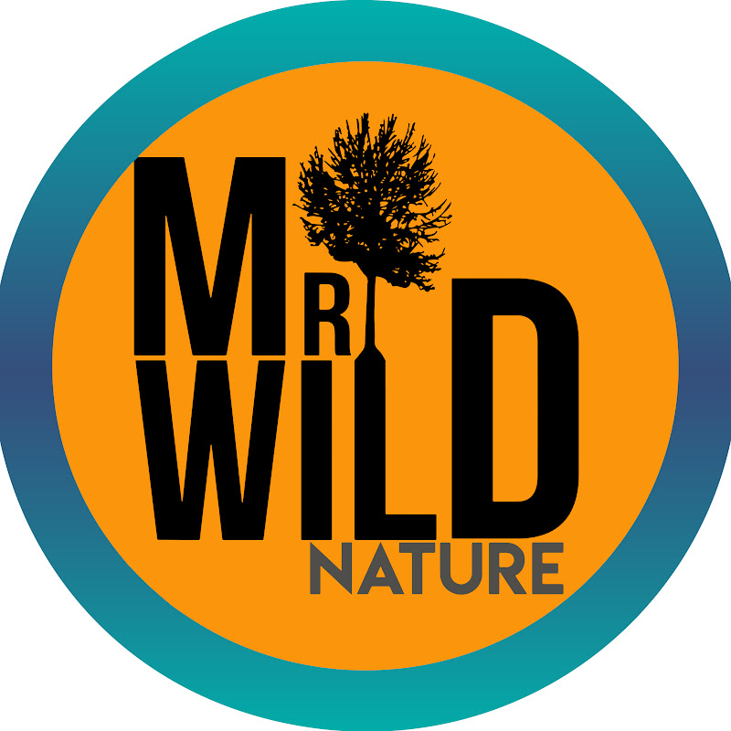 Mr Wild Nature