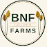 ubpy1chMstU-channel-avatar-BNF Farms