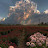 @OmOmar-l5t9p