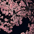 QMyOa6zgGbE-channel-avatar-~ ℒ