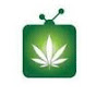 Cannabis News Network TV