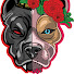 QTbC1eT5k-U-channel-avatar-Top Dawg Media House
