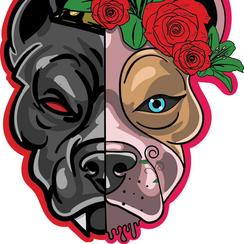 Top Dawg Media House