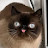 @alex-su81's avatar