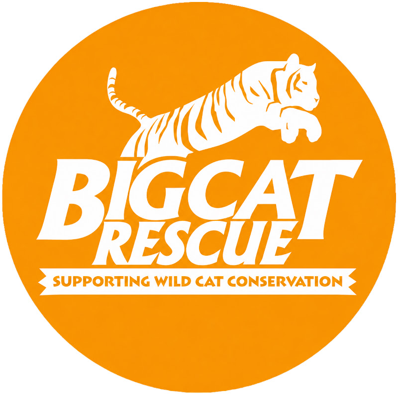 Big Cat Rescue