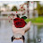 @BxncDbdb