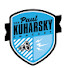 8OXP5VFQsWI-channel-avatar-Paul Kuharsky