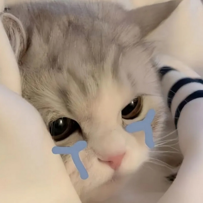 ୨kẻ suy tình୧ =β