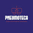 yP3NR2pBYBM-channel-avatar-Pneumoteca