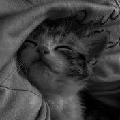 Hire Francy1654  — Gaming YouTube creator for brand sponsorships