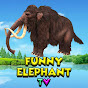 Funny Elephant TV