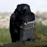 Channel Image