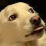 MEyWt3AmFvs-channel-avatar-CalmBat Makes