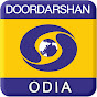 DD ODIA logo