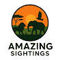 Amazing Sightings logo