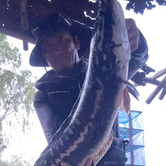 น้าเหลือ สายล่า