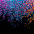 s7BiT8ul46g-channel-avatar-Brenner schraubt
