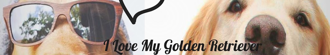 I Love My Golden Retriever Avatar de chaîne YouTube