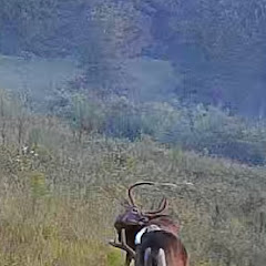 Ultimate  outdoors