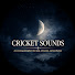 y1SuNOfMNmQ-channel-avatar-calmvoice