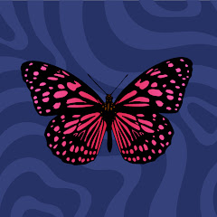 Animal Ambush channel thumbnail