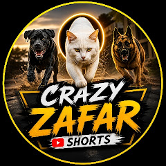 Crazy Zafar Short 