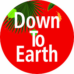 Down To Earth net worth