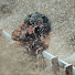MjAE7TCdL7I-channel-avatar-Drew Webb Wild