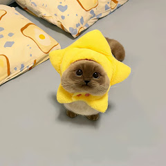 LaundryBasketDecorator 