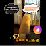_fMRVEYr5xw-channel-avatar-두부의 세모겜