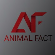 Animal Fact