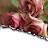 الصورة الرمزية لـ @Ganagana_nadim1960