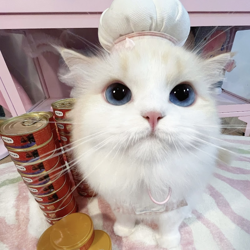 Andersonkimberlylpvqo