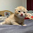 @kittygokittyslam