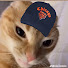 pYUIwoDFgs8-channel-avatar-itsmrclutch