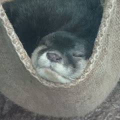 餌釣りおじさんアイコン画像