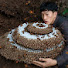 _Mm3jiyXAs4-channel-avatar-Vespine Forest