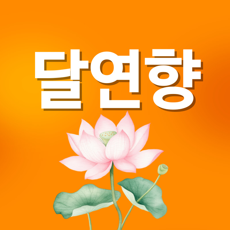 달빛 아래 연꽃향기