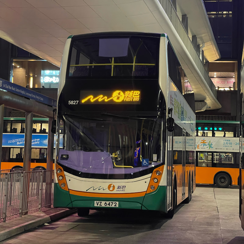 世界交通大聯盟🚌